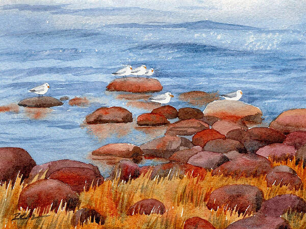 Rocky Coast Of Maine Art Print featuring the painting Gulls on the Maine Coast by Janet Zeh