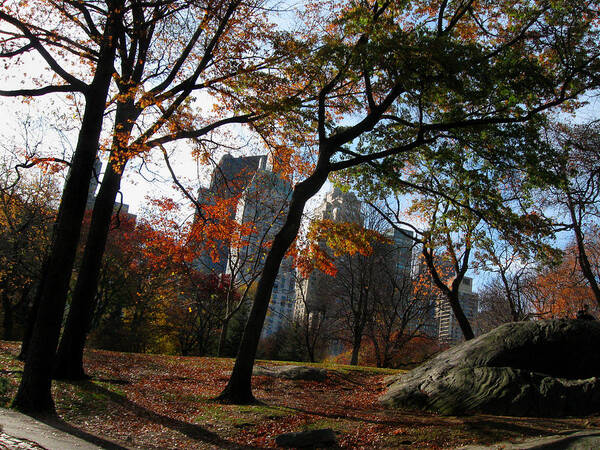 Ny Art Print featuring the photograph Guy On a Rock in Central Park by Daniel Schubarth