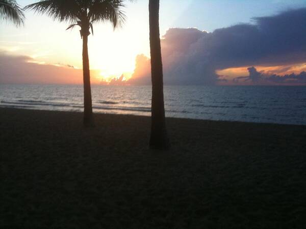 Beach Art Print featuring the photograph Hard Sunrise by Audrey Robillard