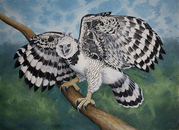 Watercolor Art Print featuring the painting Harpy Eagle by Tish Wynne