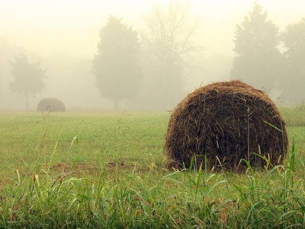 Foggy Field-hay Bail Art Print featuring the photograph Harvest by Steve Godleski