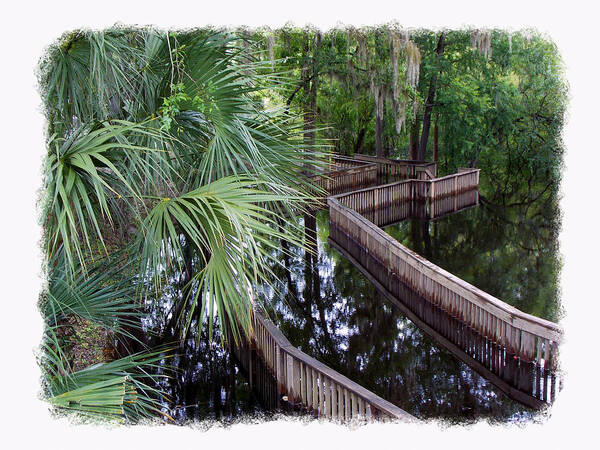 Suwannee Art Print featuring the photograph HighWater Reflection by Sheri McLeroy