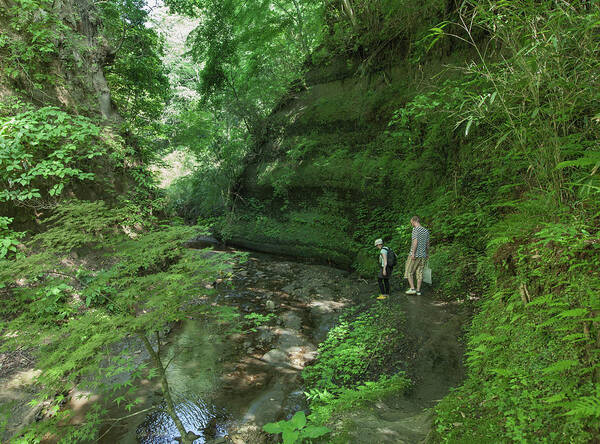 Mid Adult Women Art Print featuring the photograph Hiking Through A Green Forest Gorge by Ippei Naoi