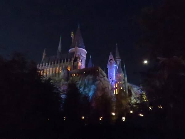 Kathy Long Art Print featuring the photograph Hogwarts Castle in Lights by Kathy Long