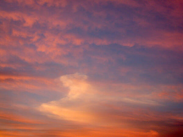 Cloud Art Print featuring the photograph Horse In The Sky by Shane Bechler