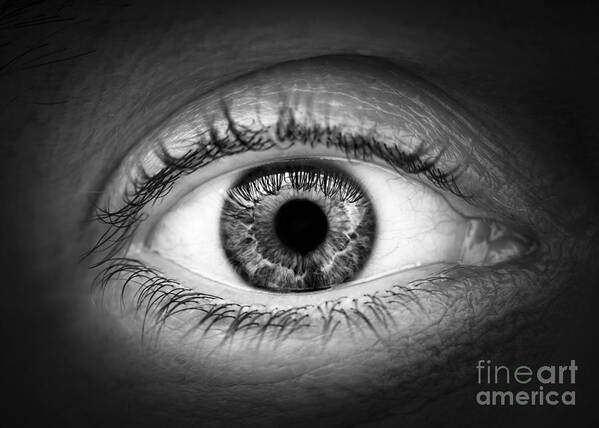 Eye Art Print featuring the photograph Human eye by Elena Elisseeva