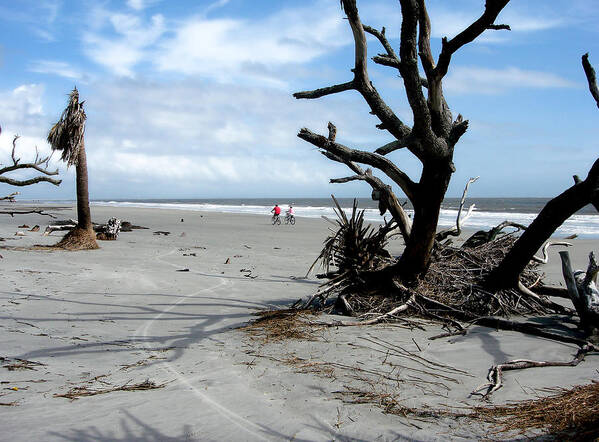 Island Art Print featuring the photograph Hunting Island - 5 by Ellen Tully