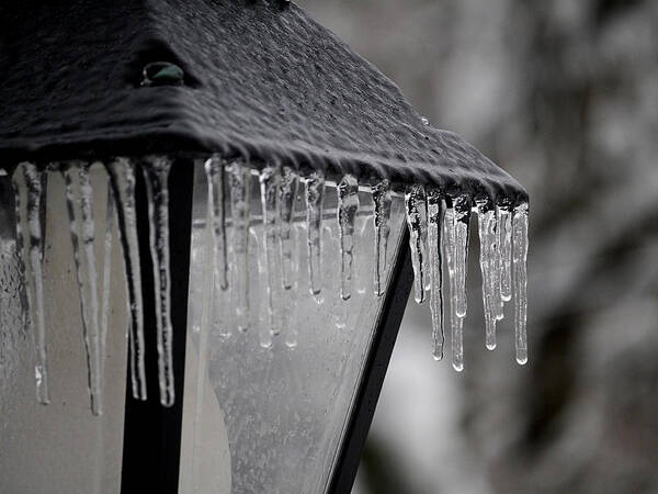 Icicle Art Print featuring the photograph Icicles - Lamp Post 3 by Richard Reeve