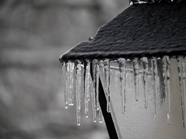 Icicle Art Print featuring the photograph Icicles - Lamp Post 2 by Richard Reeve