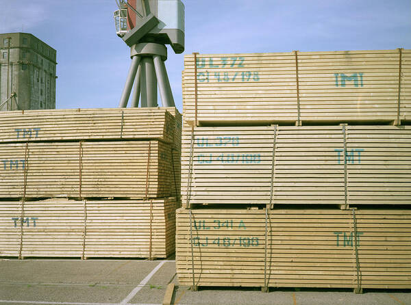 Cargo Art Print featuring the photograph Imported Timber by Robert Brook/science Photo Library