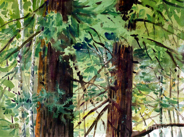 Redwood Art Print featuring the painting In the Canopy by Donald Maier
