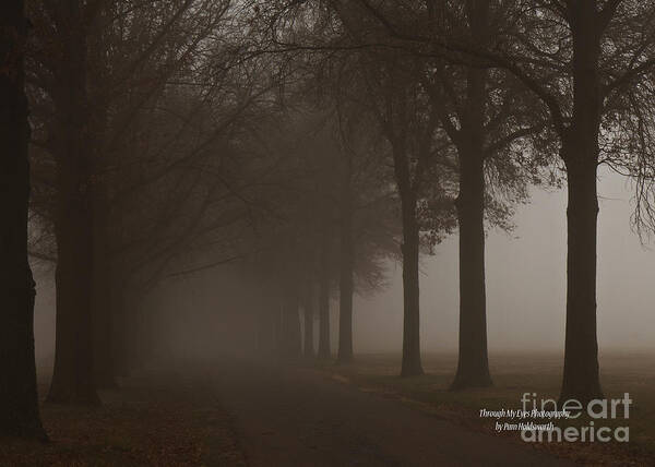 Fog Art Print featuring the photograph Into The Fog by Pam Holdsworth