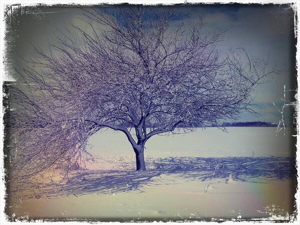 Winter Art Print featuring the photograph It Might be an Apple Tree by Scott Kingery
