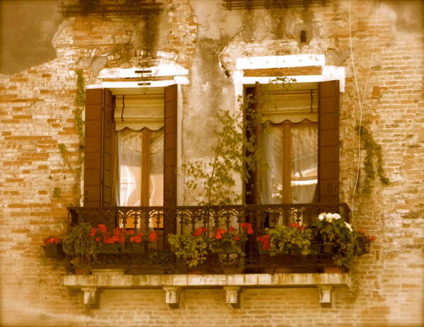 Italian Village Art Print featuring the photograph Italian Windowbox 3 by Teresa Tilley