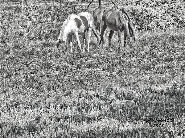 Horse Art Print featuring the digital art Jack Smokey and Camelot Texas Spring B by Robert Rhoads