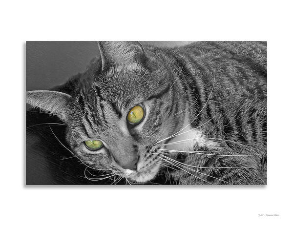 Animal Art Print featuring the photograph Jade - black and white by Frank Mari