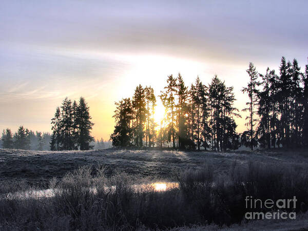 Landscape Art Print featuring the photograph January Morning by Rory Siegel