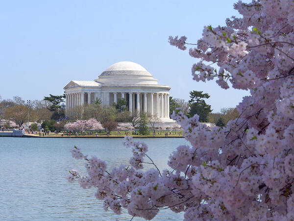 Landmarks Art Print featuring the photograph Jefferson Memorial - Cherry Blossoms by Mike McGlothlen