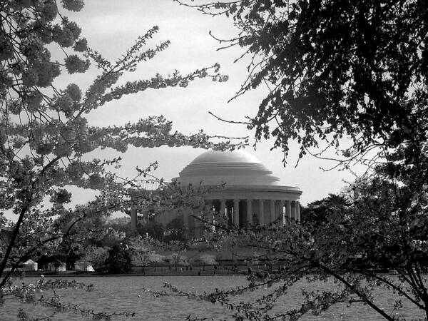 Jefferson Memorial Photo Art Print featuring the photograph Jefferson Memorial by Kimber Butler