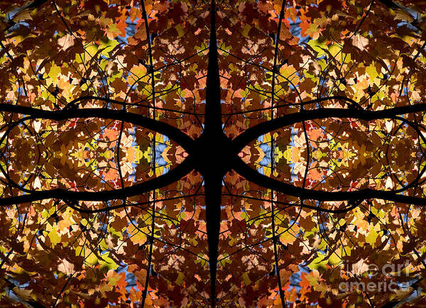 Kaleidoscope Art Print featuring the photograph Kaleidoscope by Steven Ralser