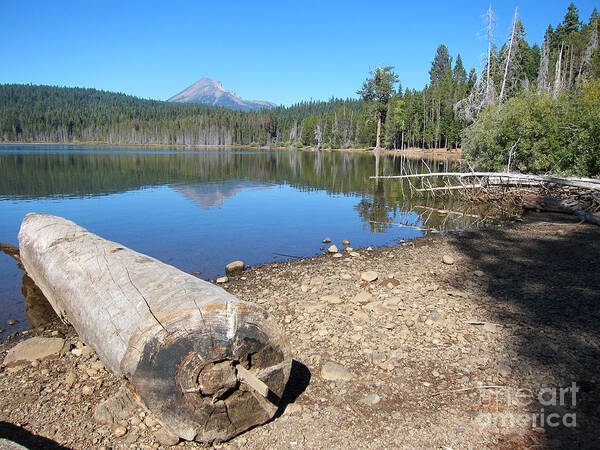 Lake Of The Woods Oregon Art Print featuring the photograph Lake Of The Woods 6 by Debra Thompson