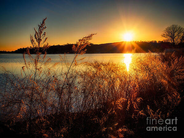 Lake Hopatcong Art Print featuring the photograph Lakeside Sunset by Mark Miller