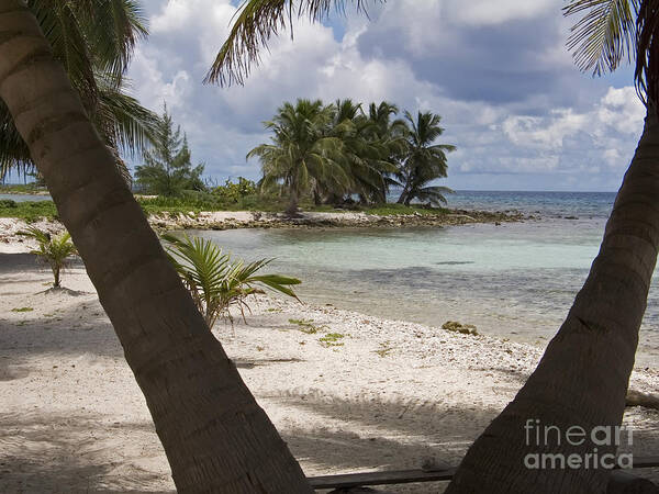 Island Art Print featuring the photograph Laughing Bird Caye by Jim West