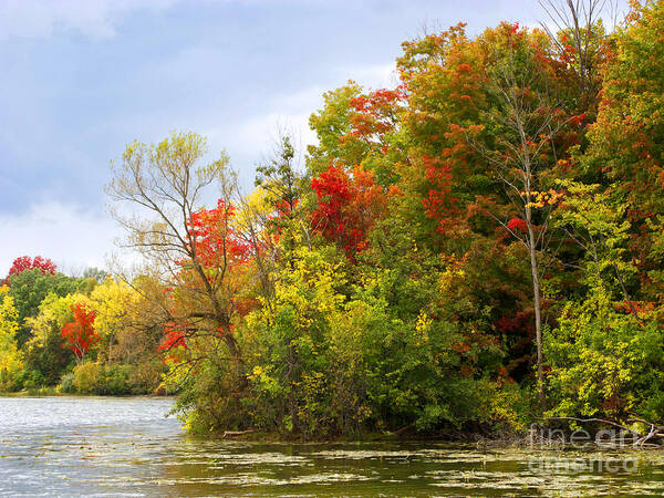 Autumn Art Print featuring the photograph Leaning into Autumn by Ann Horn