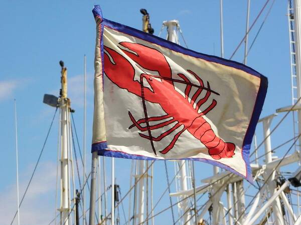 Lobster Art Print featuring the photograph Lobster Flag at the Point by Mary Carol Williams