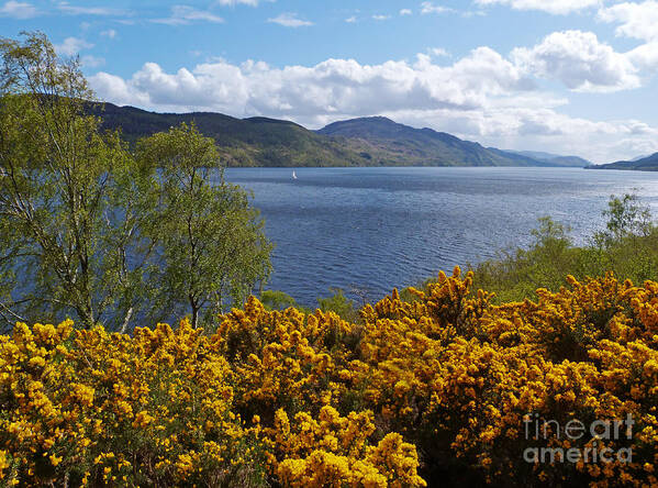 Loch Ness Art Print featuring the photograph Loch Ness - Springtime by Phil Banks