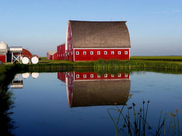 Reflections Art Print featuring the photograph Lone Star Farms by Larry Trupp