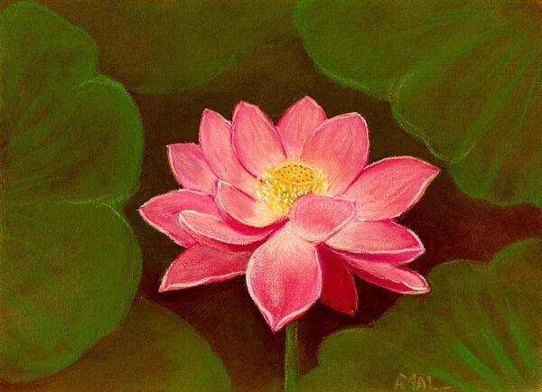 Lotus Art Print featuring the painting Lotus Flower by Anastasiya Malakhova