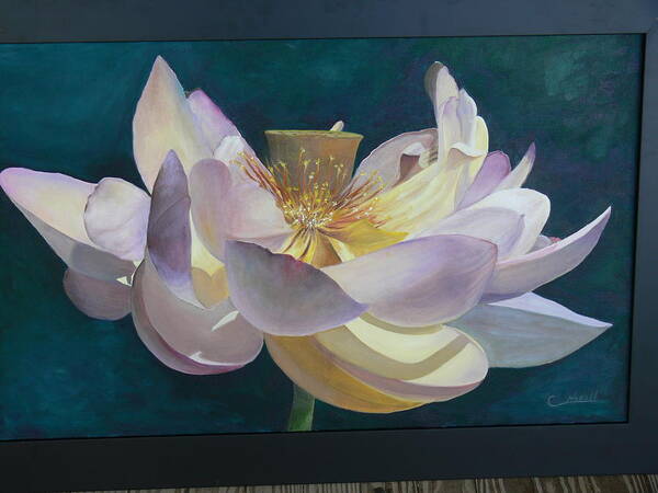 Lotus Art Print featuring the painting Lotus Flower by Catherine Hamill