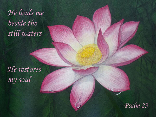 Sacred Lotus Lily Art Print featuring the painting Lotus lily Psalm twenty three by David Clode