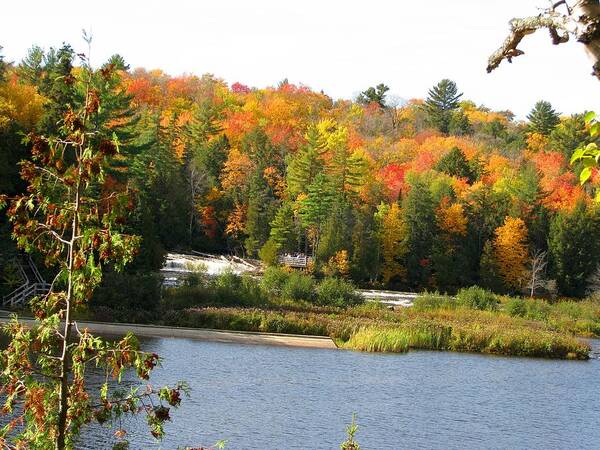 Waterfalls Art Print featuring the photograph Lower Tahquamenon Falls in October No 2 by Keith Stokes