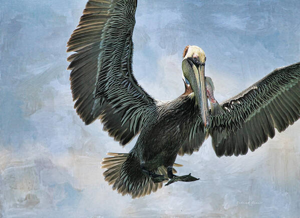 Pelican Art Print featuring the photograph Lunch Is Served by Deborah Benoit
