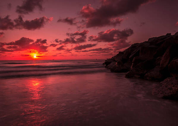 Nature Art Print featuring the photograph Magenta Sky by George Kenhan