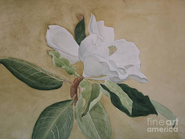 Magnolias Seem To Have Personalities. This One Seems Very Feminine Art Print featuring the painting Magnolia San Marino by Nancy Kane Chapman