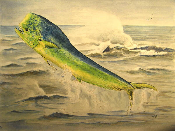 Mahi Mahi Art Print featuring the painting Mahi mahi by Juan Bosco