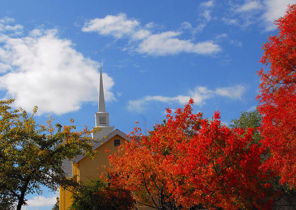 Fall Art Print featuring the photograph Majesty by Lynn Bauer