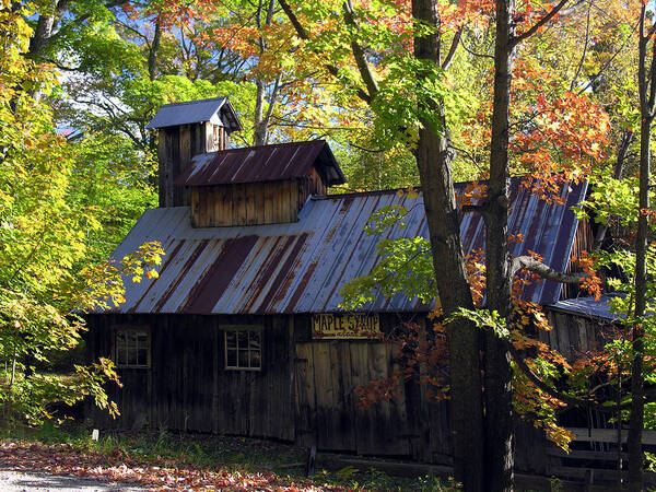 Vermont Art Print featuring the photograph Maple Syrup Barn by Robert Lozen