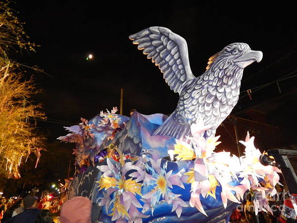 New Orleans Photography Art Print featuring the photograph Mardi Gras 2014 Mardi Gras Takes Flight by Michael Hoard