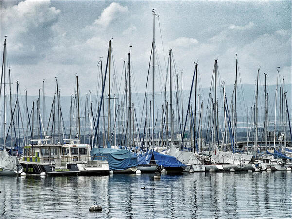 Marina Art Print featuring the photograph Marina In Waiting by Connie Handscomb