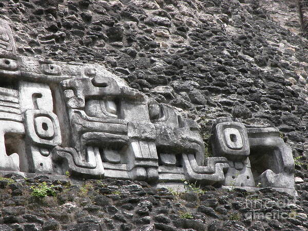 Mayan Art Print featuring the photograph Mayan Hieroglyphics by Jim Goodman