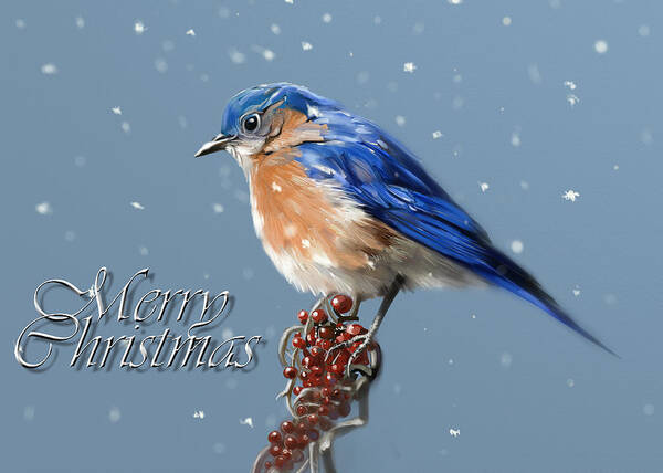 Bluebird Art Print featuring the digital art Merry Christmas - Bluebird by Arie Van der Wijst