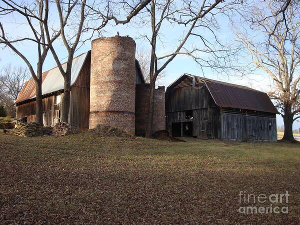 Barn Art Print featuring the photograph Mills River Barn by Bill TALICH