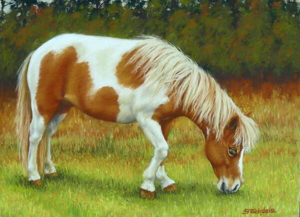 Horses Art Print featuring the pastel Mini Mare Pastel by Margaret Stockdale