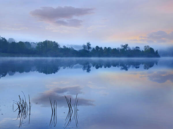 Feb0514 Art Print featuring the photograph Mist Over Lackawanna Lake Pennsylvania by Tim Fitzharris