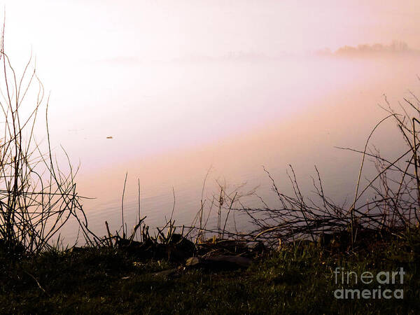 River Art Print featuring the photograph Misty Morning by Robyn King