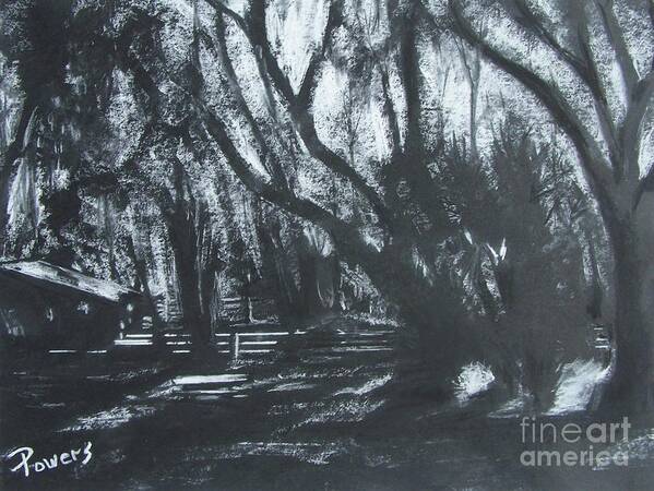 Landscape Of A Florida Farm In The Moonlight Art Print featuring the drawing Moonshine by Mary Lynne Powers